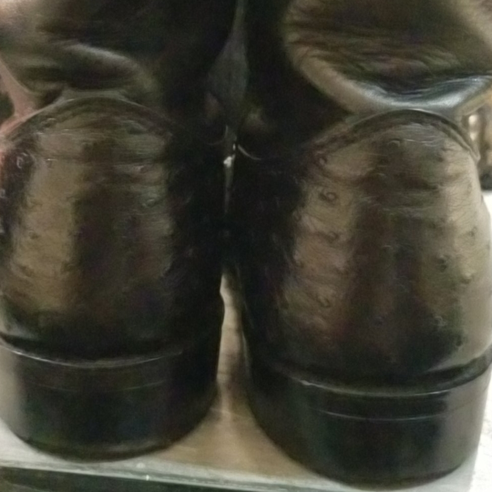 LARRY MAHAN FULL QUILL OSTRICH ROPERS - Picture 4 of 5